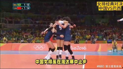 中国女排最新消息爆料,揭秘备战奥运的备战策略与备战成果